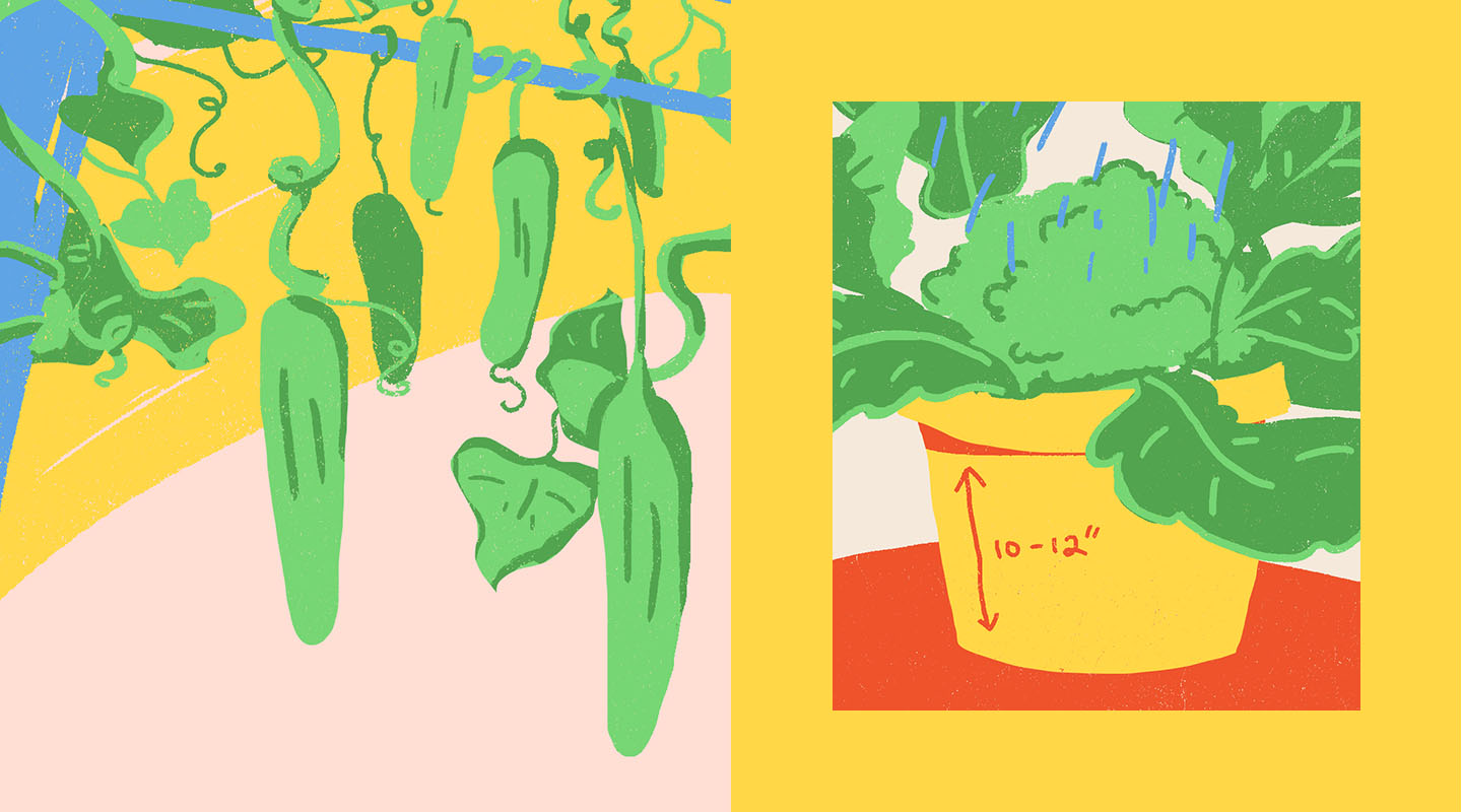 Garden_Encyclopedia_03-illustration