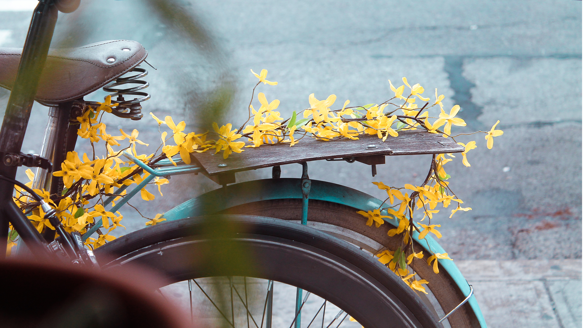 thanksxuanArtboard 15